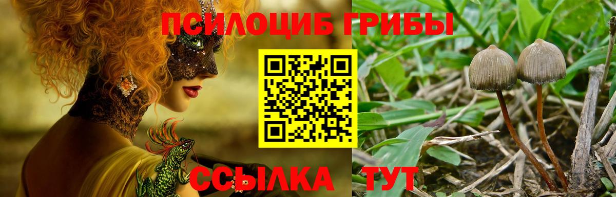 купить закладку  Вход с VPN  Всеволожск  Псилоцибиновые грибы MAGIC MUSHROOMS 
